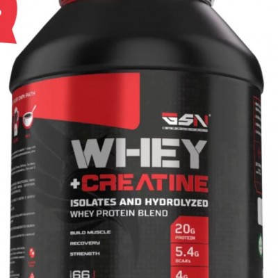 GSN WHEY + CREATİN 66 SERVİS
