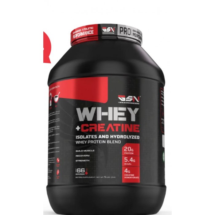 GSN WHEY + CREATİN 66 SERVİS